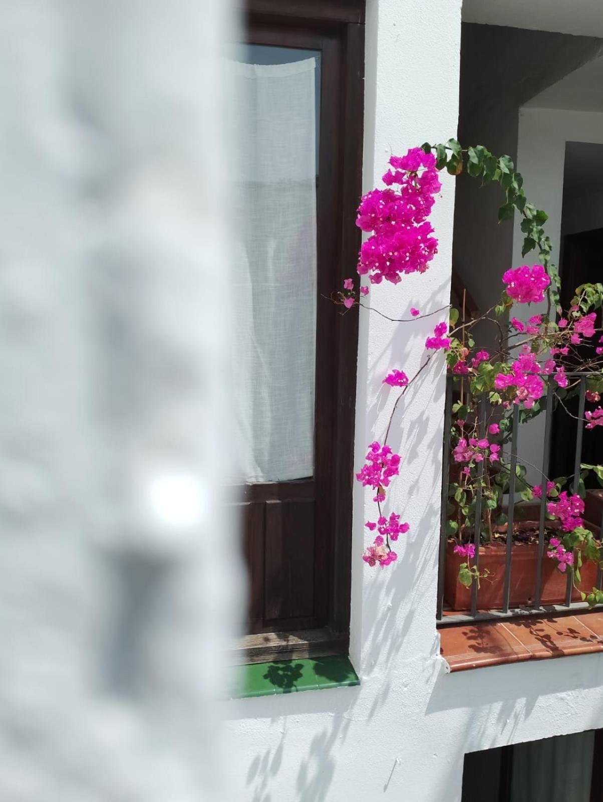 Claustro Home Casco Historico Кордоба Екстериор снимка